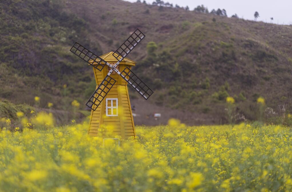 QQ截圖20190330124416.jpg QQ截圖20190330124416.jpg